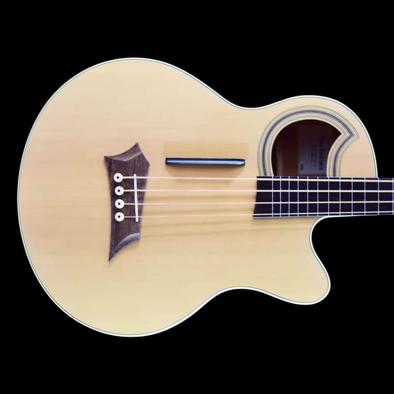 Warwick RockBass Alien Standard 4 Fretless Line Natural Satin