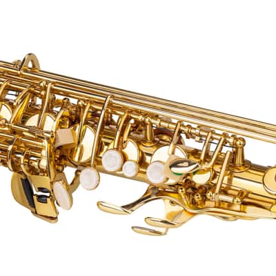 Eb Alto Saxophone Outfit Gold Lacquered Brass w/ Hard Case, Mouthpiece, Reed & Gloves image 6