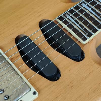 Weird Samick Guitar from 1992 (with Steinberger Tremolo) image 5