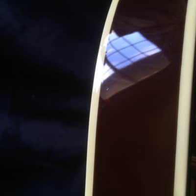 Agile AL-3XXX Custom 2014 Tobacco Sunburst image 5