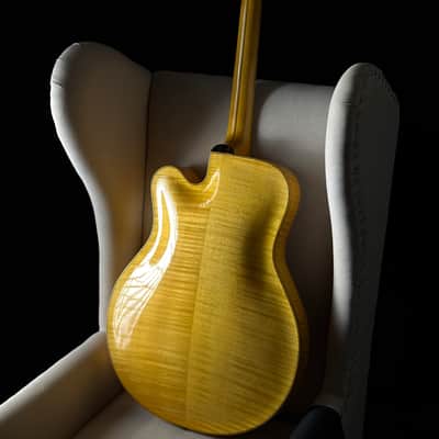 Bozo Podunavac 17" Acoustic Archtop with Calton Case image 20