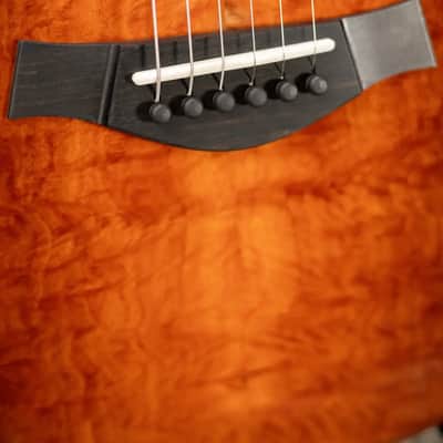 Taylor Custom Shop T5z Custom #C0960 Figured Ironbark/Shamel Ash Hollow Body Electric Guitar with Hardshell Case image 12