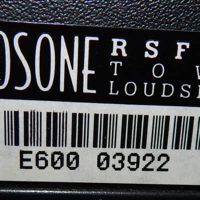 Eosone RSF 600 tower loudspeakers pair image 10