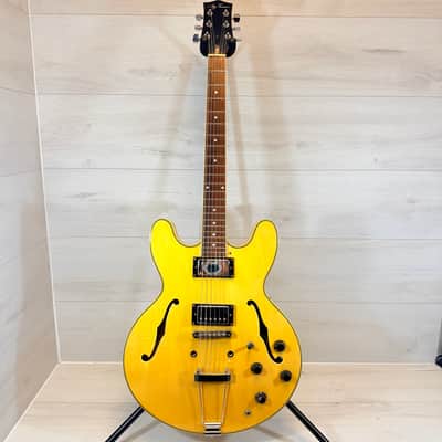 Jay Turser JT137DC Semi-Hollow Electric Guitar – Natural – Modified Hardware – Player Grade 335 Style image 16