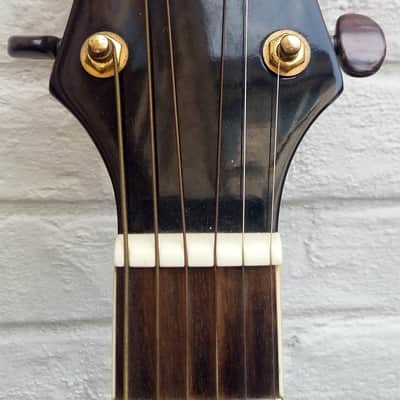 ELYPSE Electro acoustic folk cutaway + original Gigbag 2000 image 7