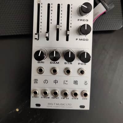 Big T Music Rangoon Mutable Instruments Rings Clone Eurorack Module image 1