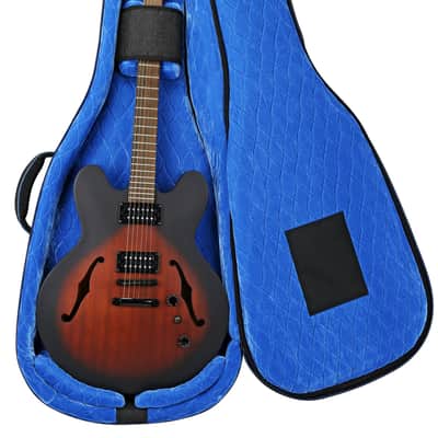 Reunion Blues RBCSH Continental Voyager Semi-Hollow Body Electric Guitar Case image 10