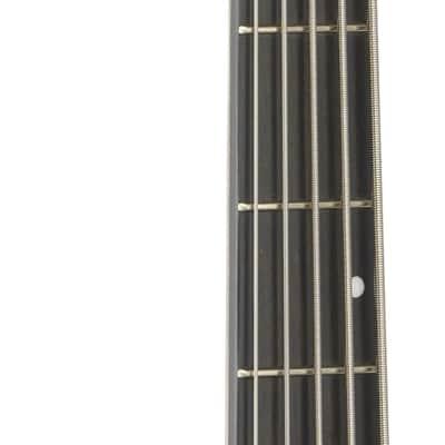 Schecter Riot 5 Electric Bass, Left-Handed (5-String), Satin Aurora Burst image 6