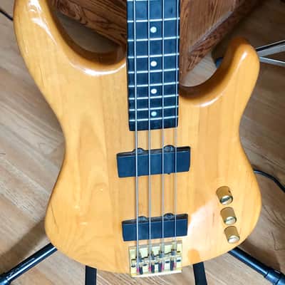 Peavey Palaedium Bass image 1