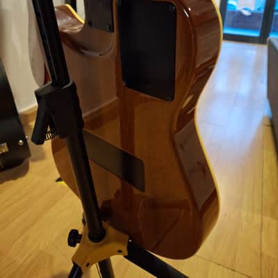 Godin Multiac Steel Duet image 3