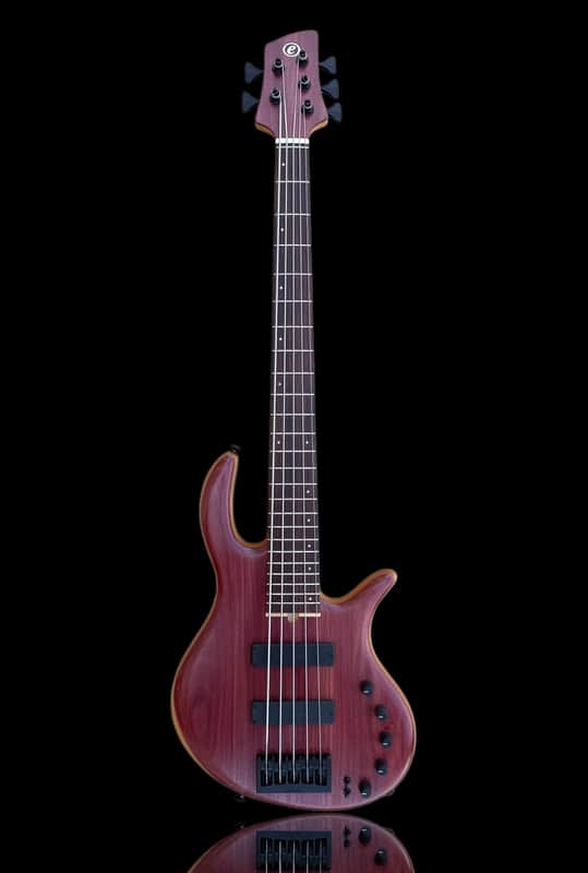 Elrick EVO Gold 5 String Purpleheart 2025 - Natural image 1