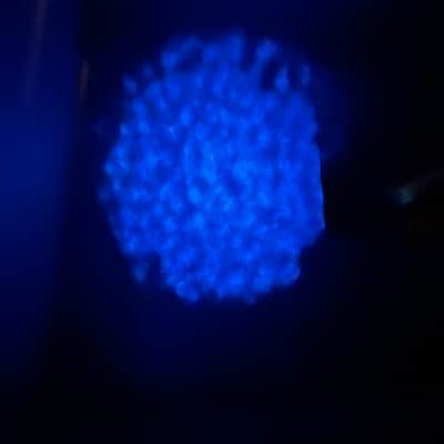 Eliminator Lighting Aqua LED 10-Watt Water/Fire Effect Light 2010s - Black image 4