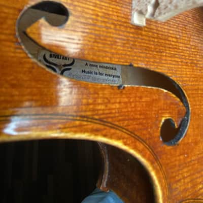 Stradivari Masterbuilt Violin 4/4 Handmade in Transylvania image 3