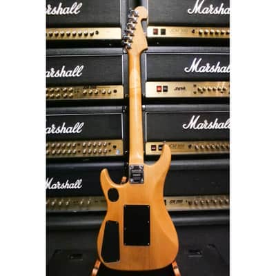 Washburn N2 image 4