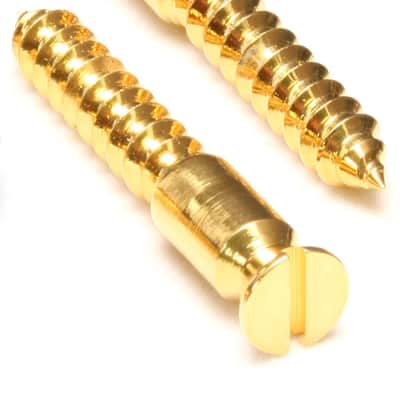 Authentic Floyd Rose Original Bridge Mounting Wood Screws - Gold image 1