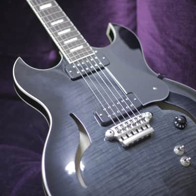 Vox HDC 77 Blackburst Prince's Last Guitar EVER! image 1