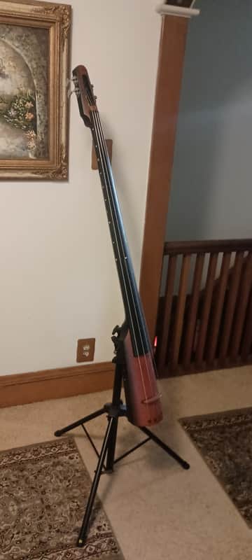 NS Design NXT4 Double Bass 2016 - Sunburst image 1