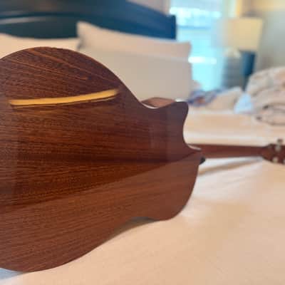 Taylor 314ce Studio Special Edition 2024 - Present - Shaded Edgeburst image 12