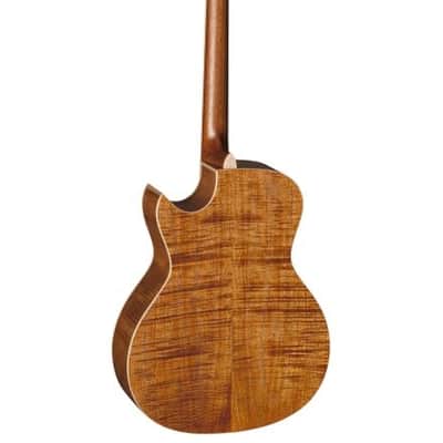 Baton Rouge X6C/ACE MYSTIQUE
Electro-acoustic image 3