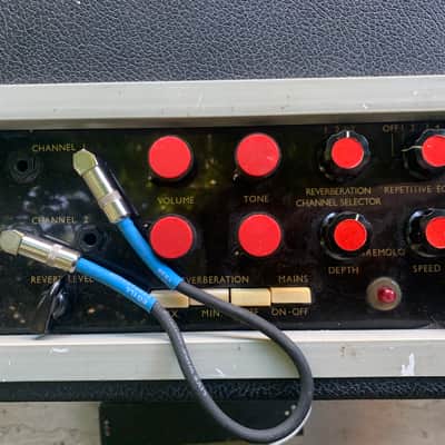 62’ Bird Golden Eagle 4/25 (1x15) [Zodiac/Dominator/Bluesbreaker] image 3