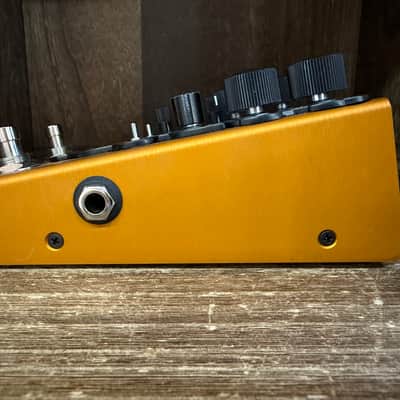 Beetronics Larva Morphing Phaser 2024 - Present - Various image 3