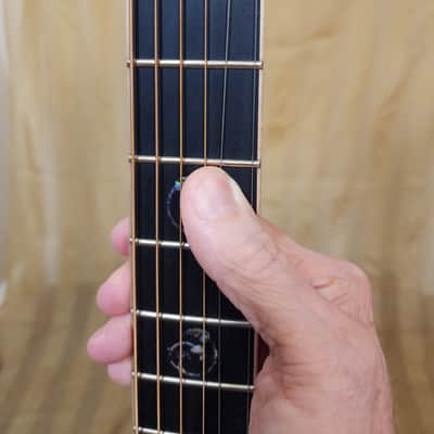 Larrivee PV10 Deluxe Series 2026 - Natural Gloss image 11