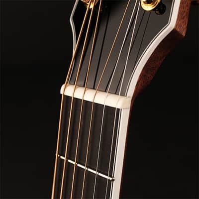 Cort GOLDA8LB Gold Series Auditorium Solid 6-String Acoustic-Electric Guitar w/Deluxe Soft Side Case image 11