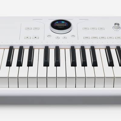 Arturia Astrolab 88 - White image 7
