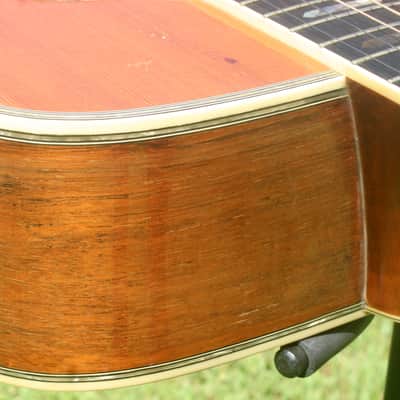 1975 Yairi YW-600 Dreadnought Guitar New Jacaranda Natural+Hard Case image 14