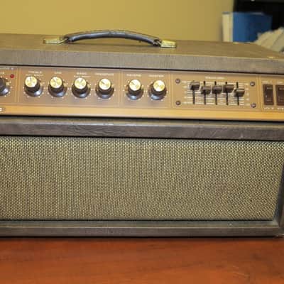 Acoustic G 100 T  tube guitar amp image 11