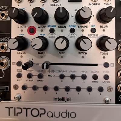 Intellijel Multigrain | Reverb