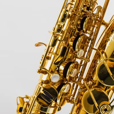Demo Selmer Paris Supreme Professional Alto Saxophone - Gold Lacquer image 8