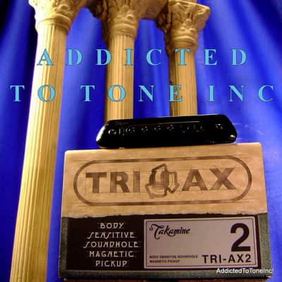Takamine TRI-AX 2 Acoustic Guitar Pickup CTP1 CTP2 CTP3 CT4DX Modified L R Baggs M80 image 5