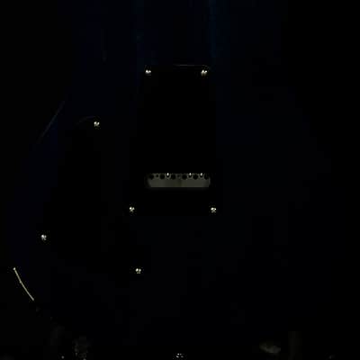 PRS Guitars Wildwood Wood Library S2 Custom 24-08 image 2