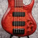 MTD USA Andrew Gouche 5 (USED)