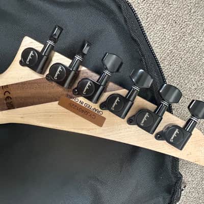 Jackson Pro Plus Series RR24 Rhoads Electric Guitar - Mirror image 11