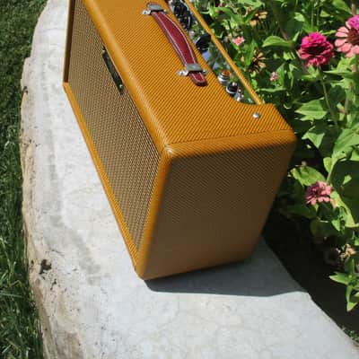 Carl's Custom Amps Classic Reverb Unit Dark Lacquer image 7