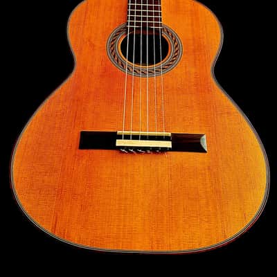 Benito Huipe Special Concert Guitar-Cedar/Exotic Bocote Master Grade image 11