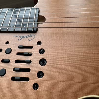 Godin Multiac ACS SA Nylon image 13