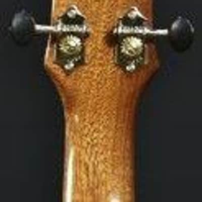 PukanaLa Model PU-MC-C Solid Sapele Mahogany Pro Series Concert Cutaway Ukulele image 6