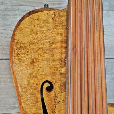 Bebensee Custom 6-String Semi-Hollowbody Fretless Bass 2011 Spalted Myrtle image 6