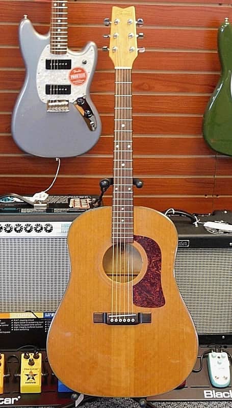 Washburn D-30S Southern Jumbo Acoustic Guitar Birds Eye Maple! image 1