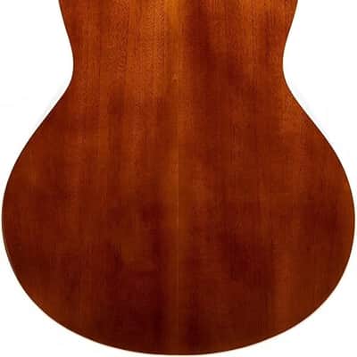 Acoustic-Electric Cutaway Guitar image 2