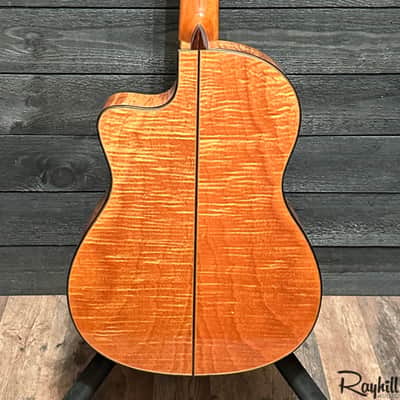 Cordoba Fusion 14 Maple Spruce Top Nylon String Acoustic-Electric Guitar image 4