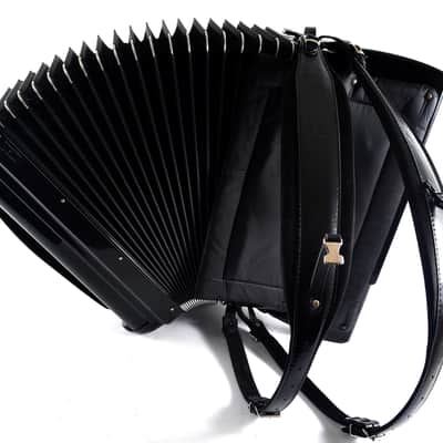 Immagine S.E.M Recanati “Piermaria Classique” Cassotto Accordion 120 Bass (41 Keys, LMMM) – Case, Brand New Straps, Musette – Certified + Video - 9