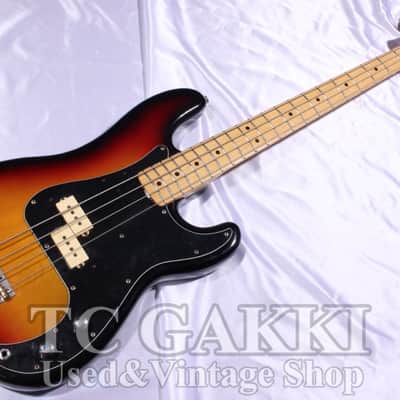 FERNANDES FPB 60 Mod image 1