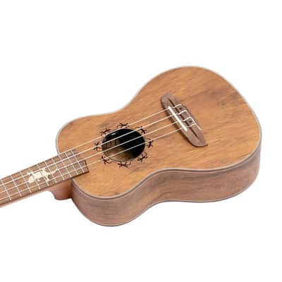 Ortega LIZARD-CC-GBL - Concert Acoustic-Electric Ukulele - Lizard Series image 8