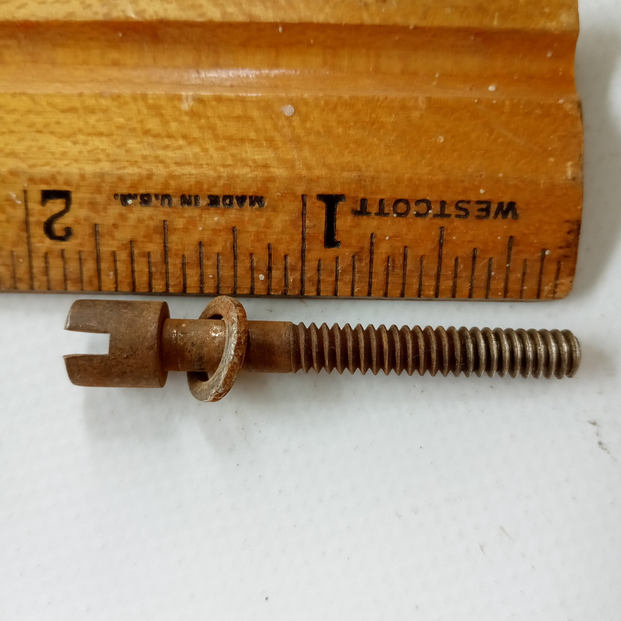 Leedy 1.5"10-24 Thin Slotted Circle-Head T-Rod Tom/Snare Drum Tension Nickel 20s — main photograph