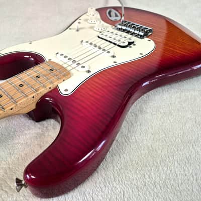 2014 Fender Player Stratocaster HSS Plus-Top & Deluxe Hard-Case image 8