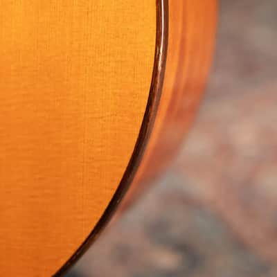 Cordoba C5 Classical Acoustic Guitar with Gig Bag - Used image 16